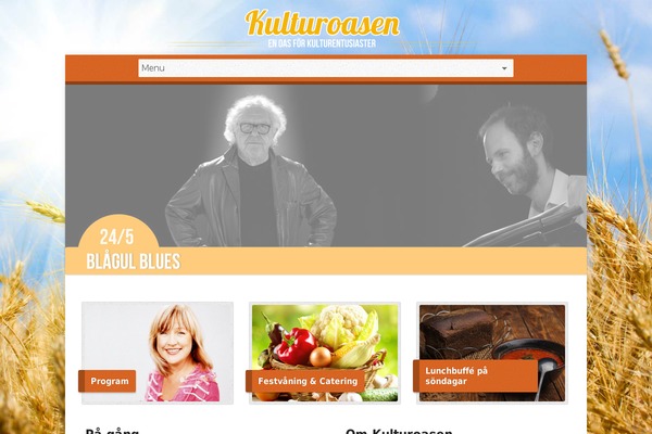 Site using Captain Slider plugin