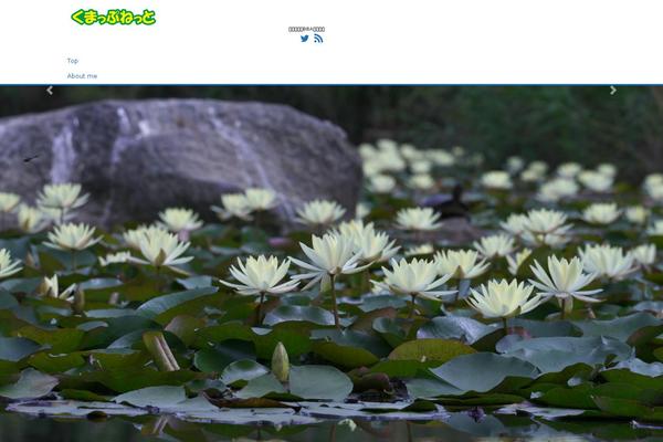 kumap.net site used Liquid-light