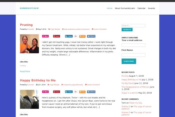Site using Traffic Counter Widget plugin