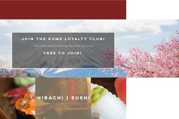 Rise theme site design template sample