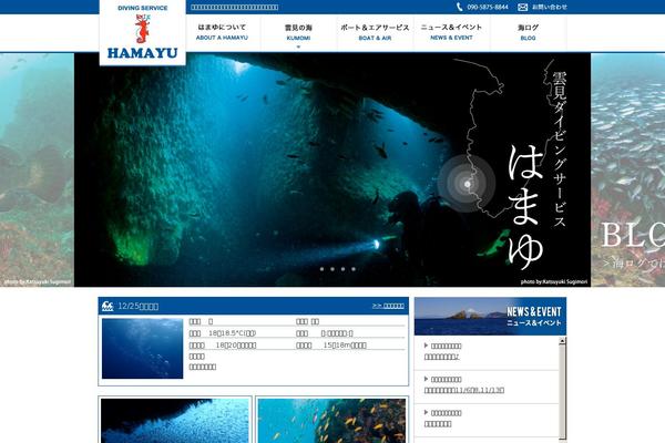Site using WP PageNavi Style plugin
