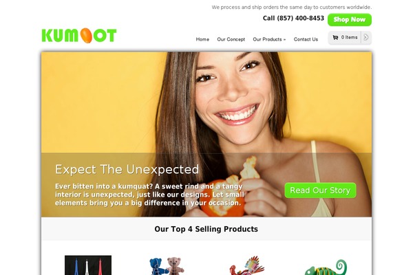 Styleshop theme site design template sample