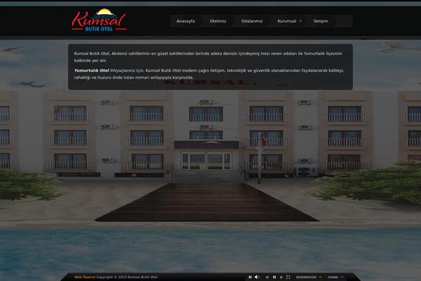V1 theme site design template sample