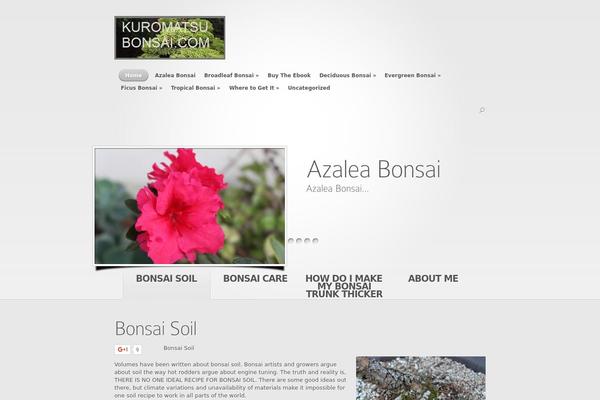 Site using WordPress Google +1 Button - Advanced Plugin, Includes Redirection plugin