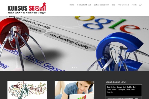 SaladMag theme site design template sample