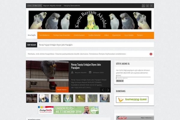 Cherry theme site design template sample