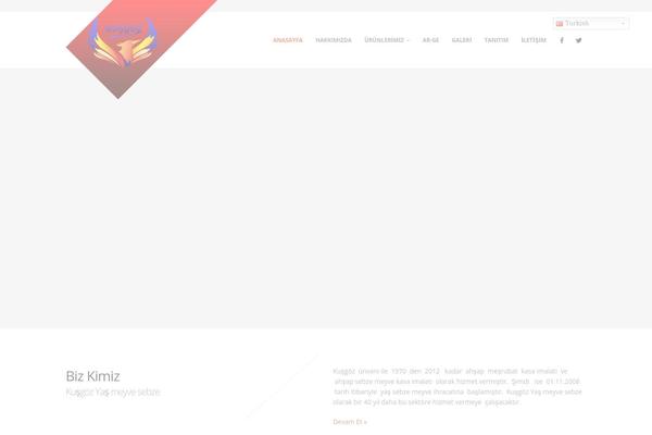 Site using Responsive Gallery plugin