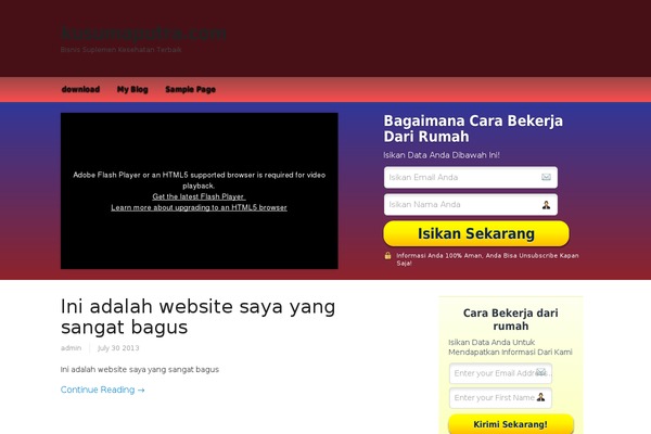 Focusblog theme site design template sample