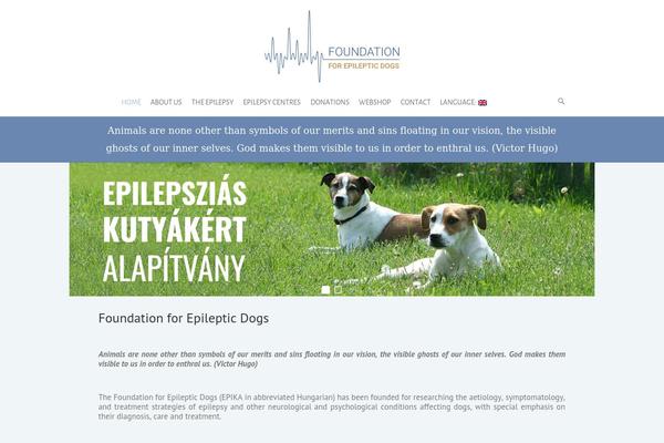Interface theme site design template sample
