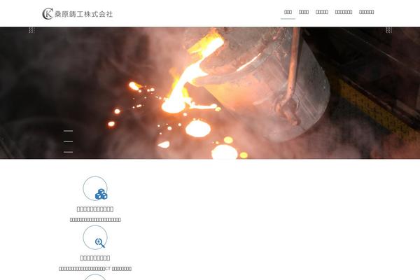 Site using VK All in One Expansion Unit plugin