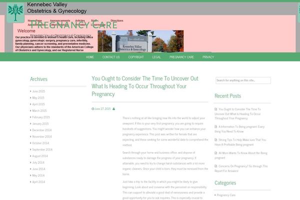 Reizend theme site design template sample