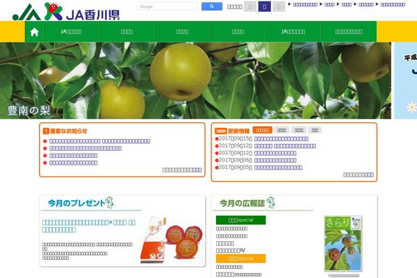 Main theme site design template sample