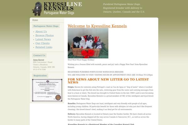 Puretype theme site design template sample