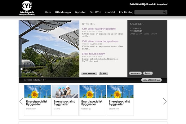 Ams theme site design template sample