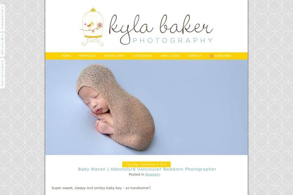 ProPhoto 3 theme site design template sample