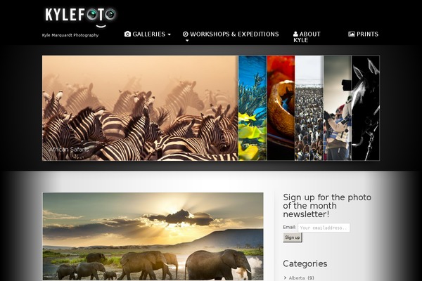 Striking theme site design template sample