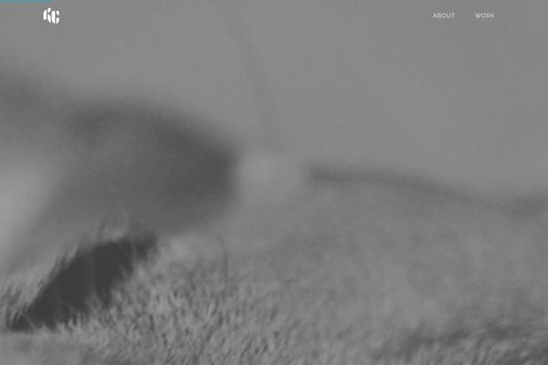 Semplice theme site design template sample