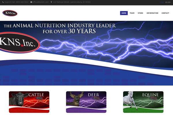 Emerald theme site design template sample