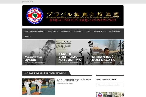 Extranews theme site design template sample