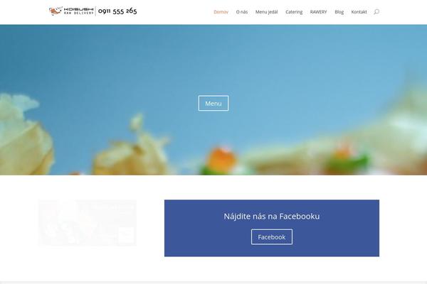 Divi theme site design template sample