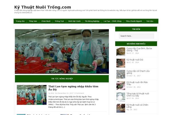 Twentytwentyfour theme site design template sample