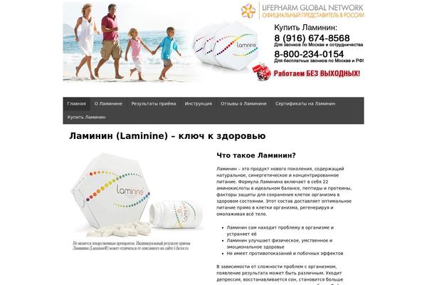 Shell Lite theme site design template sample
