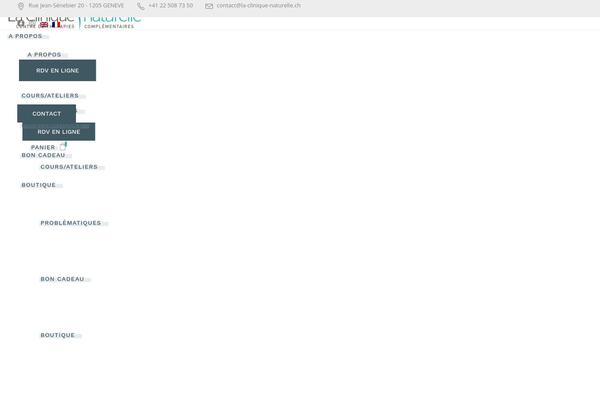 Reina theme site design template sample