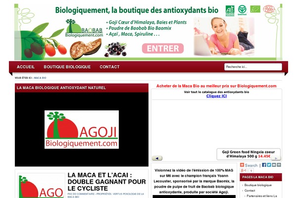 Lugada theme site design template sample