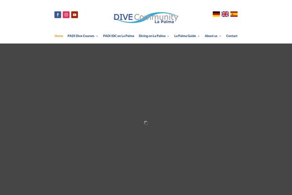 Site using Divi-translate-main plugin