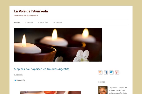 Site using WP Tweet Button plugin