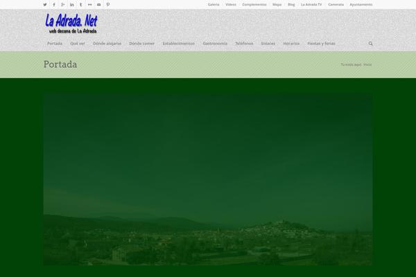 Site using Google Website Translator by Prisna.net plugin