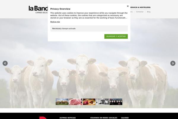The Retailer Child theme site design template sample