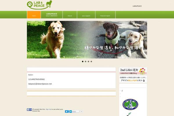 Smart060 theme site design template sample