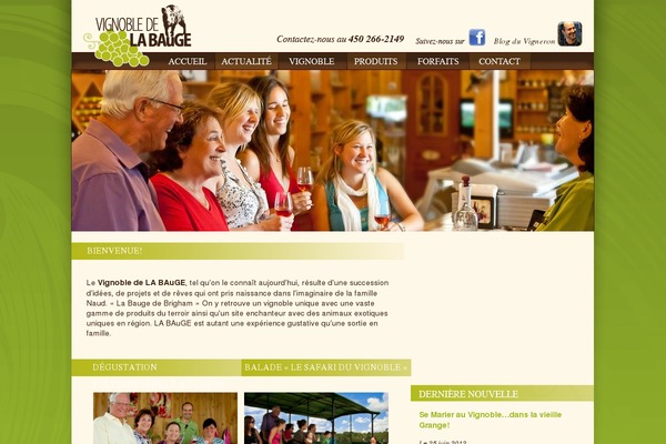 lithium theme site design template sample