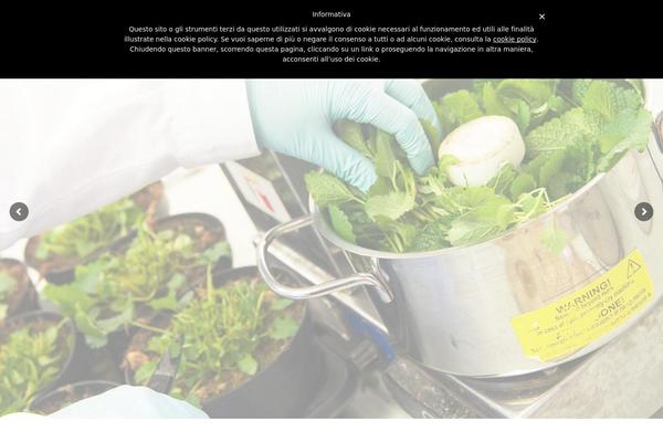 Site using Gumroad plugin