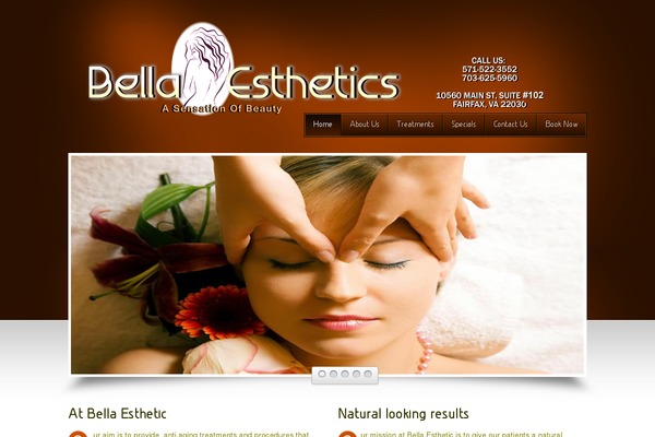 Bd_beauty theme site design template sample