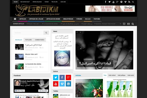 Multinews theme site design template sample