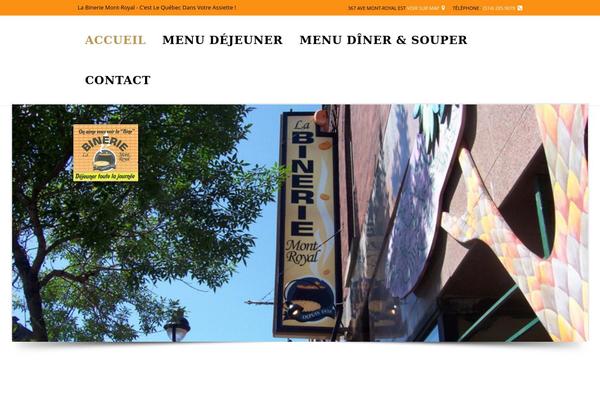 Chicago theme site design template sample