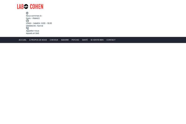 Consulting theme site design template sample