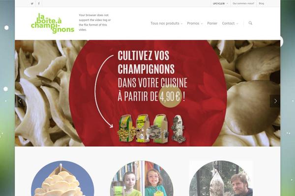 Salient theme site design template sample