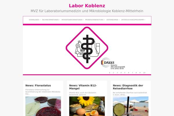 Zenon Lite theme site design template sample