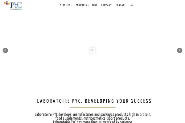 Engic theme site design template sample