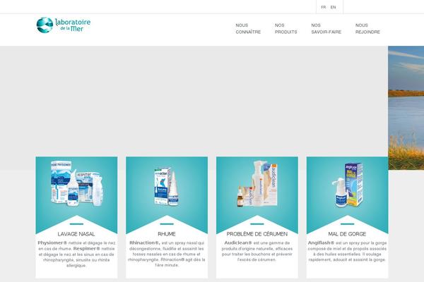 The Company theme site design template sample