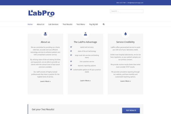 Avada Child Theme theme site design template sample