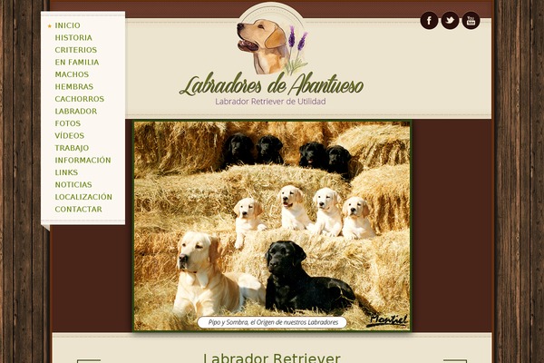Custom Theme theme site design template sample