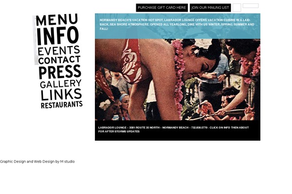 roots1 theme websites examples