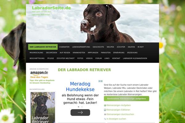 Site using Aawp plugin