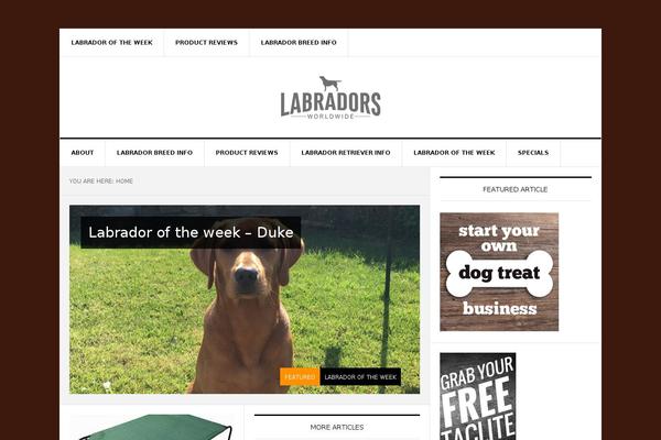 News Pro theme site design template sample