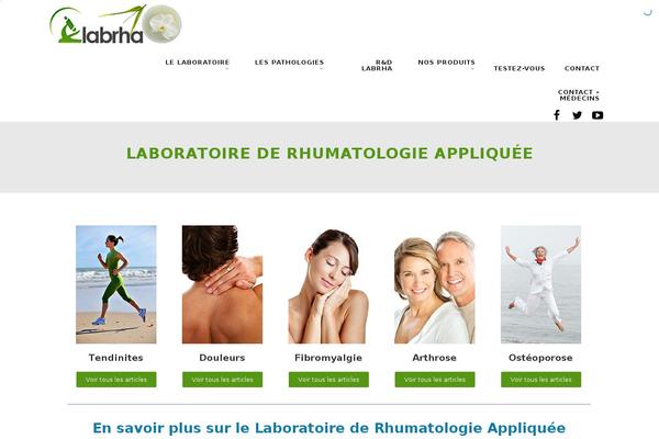 Optimizer theme site design template sample
