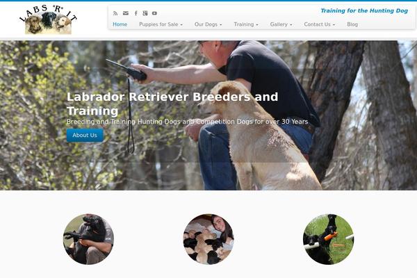 Site using Google AdSense by BestWebSoft plugin